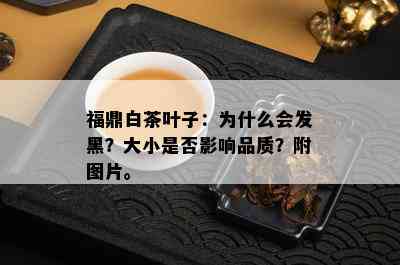 福鼎白茶叶子：为什么会发黑？大小是否影响品质？附图片。