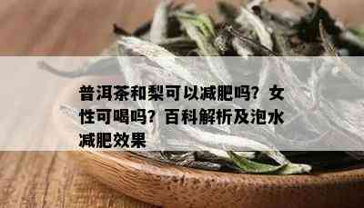 普洱茶和梨可以减肥吗？女性可喝吗？百科解析及泡水减肥效果