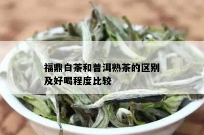 福鼎白茶和普洱熟茶的区别及好喝程度比较