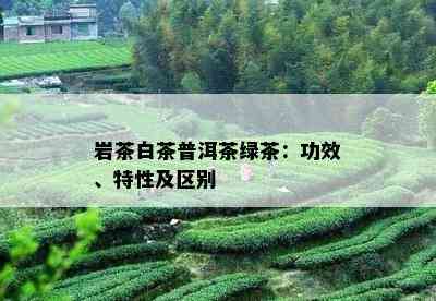 岩茶白茶普洱茶绿茶：功效、特性及区别