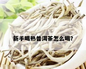 新手喝熟普洱茶怎么喝？