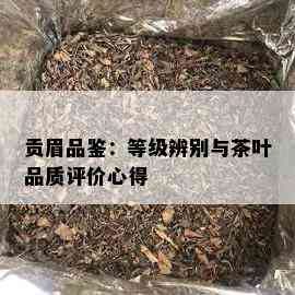 贡眉品鉴：等级辨别与茶叶品质评价心得