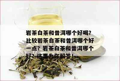 岩茶白茶和普洱哪个好喝？比较岩茶白茶和普洱哪个好一点？岩茶白茶和普洱哪个好？这里为你解答！