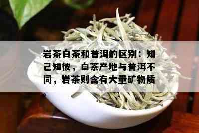 岩茶白茶和普洱的区别：知己知彼，白茶产地与普洱不同，岩茶则含有大量矿物质。