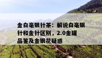 金白毫银针茶：解说白毫银针和金针区别，2.0金罐品鉴及金银花疑惑