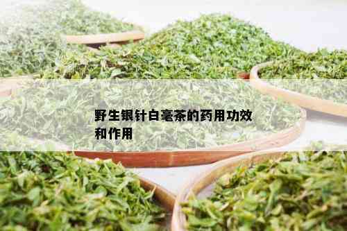 野生银针白毫茶的用功效和作用