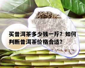 买普洱茶多少钱一斤？如何判断普洱茶价格合适？