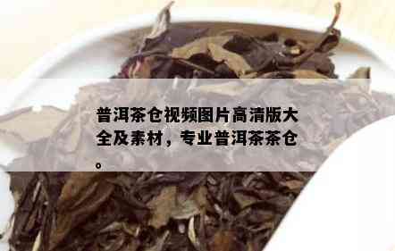 普洱茶仓视频图片高清版大全及素材，专业普洱茶茶仓。