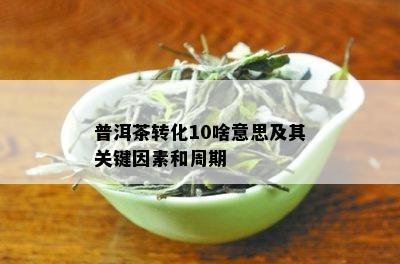 普洱茶转化10啥意思及其关键因素和周期