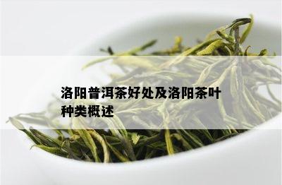 洛阳普洱茶好处及洛阳茶叶种类概述