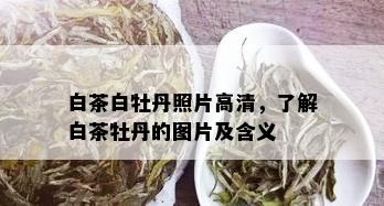 白茶白牡丹照片高清，了解白茶牡丹的图片及含义