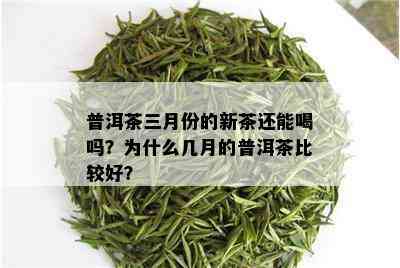 普洱茶三月份的新茶还能喝吗？为什么几月的普洱茶比较好？