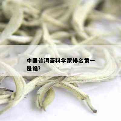 中国普洱茶科学家排名之一是谁？