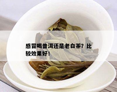 感冒喝普洱还是老白茶？比较效果好！