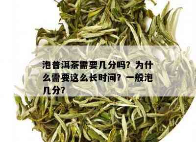 泡普洱茶需要几分吗？为什么需要这么长时间？一般泡几分？