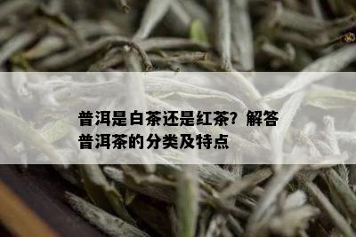 普洱是白茶还是红茶？解答普洱茶的分类及特点