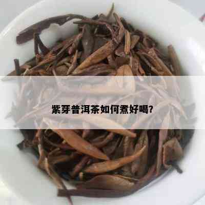 紫芽普洱茶如何煮好喝？