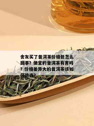 舍友买了普洱茶价格低怎么回事？便宜的普洱茶有害吗？价格差异大的普洱茶该如何挑选？