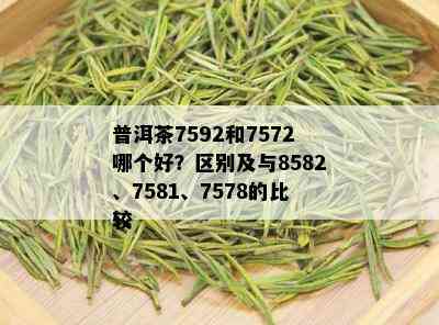 普洱茶7592和7572哪个好？区别及与8582、7581、7578的比较