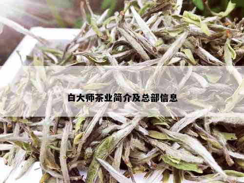 白大师茶业简介及总部信息