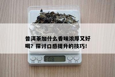 普洱茶加什么香味浓厚又好喝？探讨口感提升的技巧！