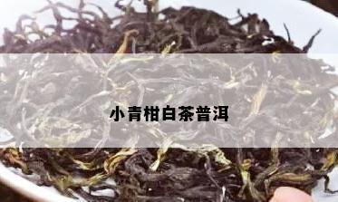 小青柑白茶普洱