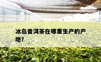 冰岛普洱茶在哪里生产的产地？