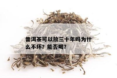 普洱茶可以放三十年吗为什么不坏？能否喝？