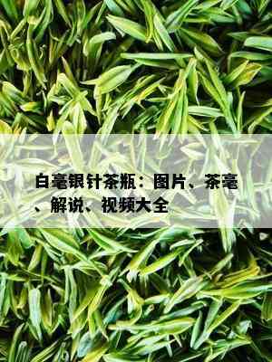 白毫银针茶瓶：图片、茶毫、解说、视频大全