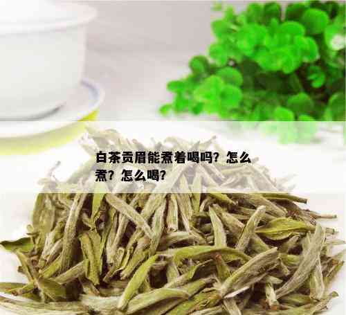 白茶贡眉能煮着喝吗？怎么煮？怎么喝？