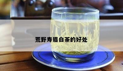 荒野寿眉白茶的好处