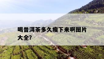 喝普洱茶多久瘦下来啊图片大全？