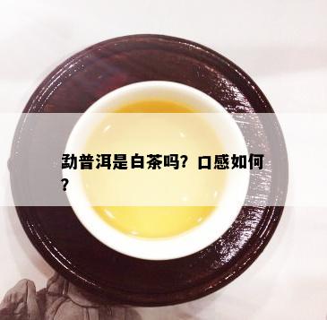 勐普洱是白茶吗？口感如何？