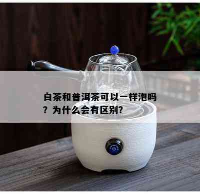 白茶和普洱茶可以一样泡吗？为什么会有区别？