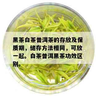 黑茶白茶普洱茶的存放及保质期，储存方法相同，可放一起。白茶普洱黑茶功效区别。