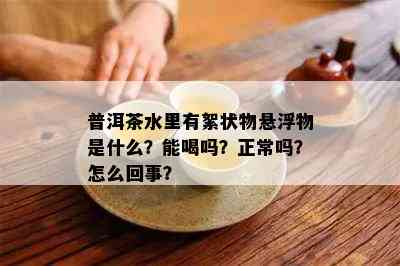 普洱茶水里有絮状物悬浮物是什么？能喝吗？正常吗？怎么回事？