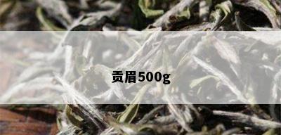 贡眉500g