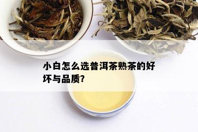 小白怎么选普洱茶熟茶的好坏与品质？