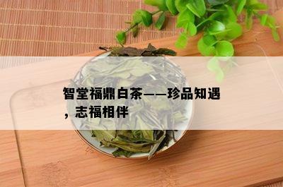 智堂福鼎白茶——珍品知遇，志福相伴