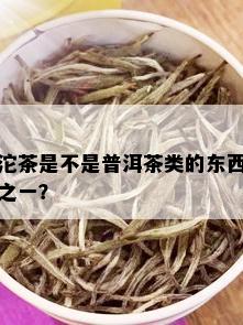 沱茶是不是普洱茶类的东西之一？