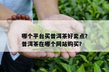 哪个平台买普洱茶好卖点？普洱茶在哪个网站购买？