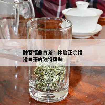 醇菩福鼎白茶：体验正宗福建白茶的独特风味