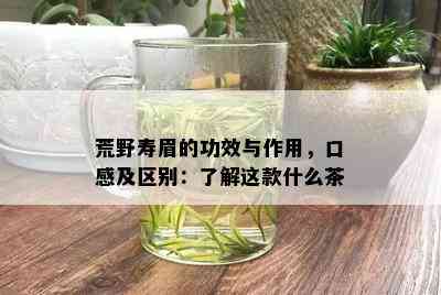 荒野寿眉的功效与作用，口感及区别：了解这款什么茶