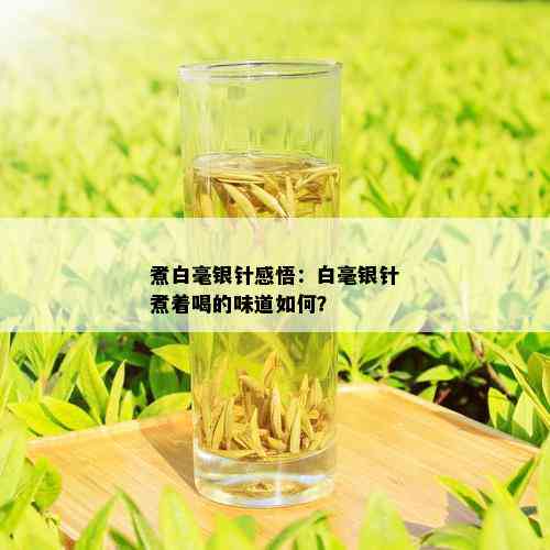 煮白毫银针感悟：白毫银针煮着喝的味道如何？