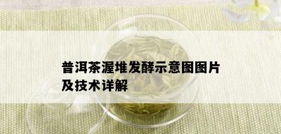 普洱茶渥堆发酵示意图图片及技术详解