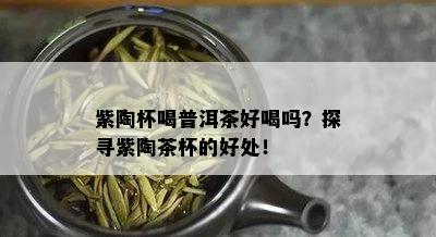 紫陶杯喝普洱茶好喝吗？探寻紫陶茶杯的好处！