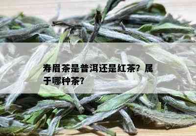 寿眉茶是普洱还是红茶？属于哪种茶？