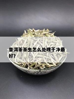 普洱茶茶虫怎么处理干净更好？