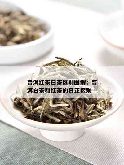 普洱红茶白茶区别图解：普洱白茶和红茶的真正区别