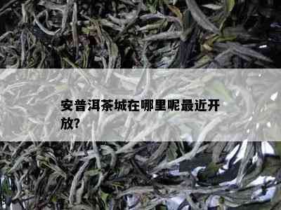 安普洱茶城在哪里呢最近开放？